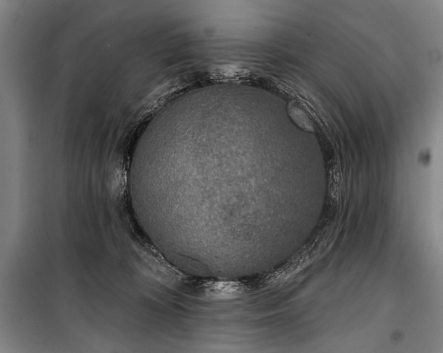 X0000101180324200806271257