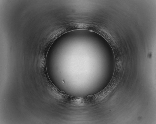 X0000101180325200806271257