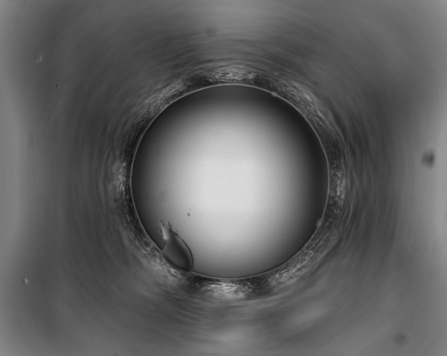 X0000101180326200806271257