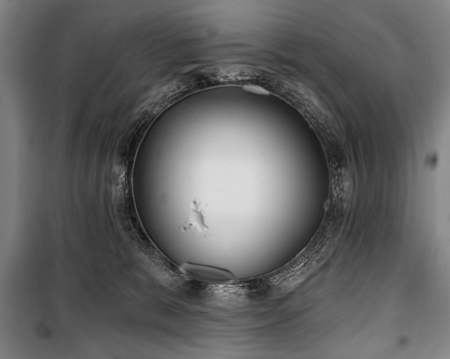 X0000101180327200806271257