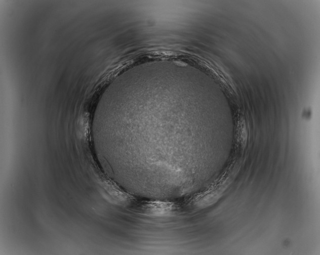 X0000101180328200806271257