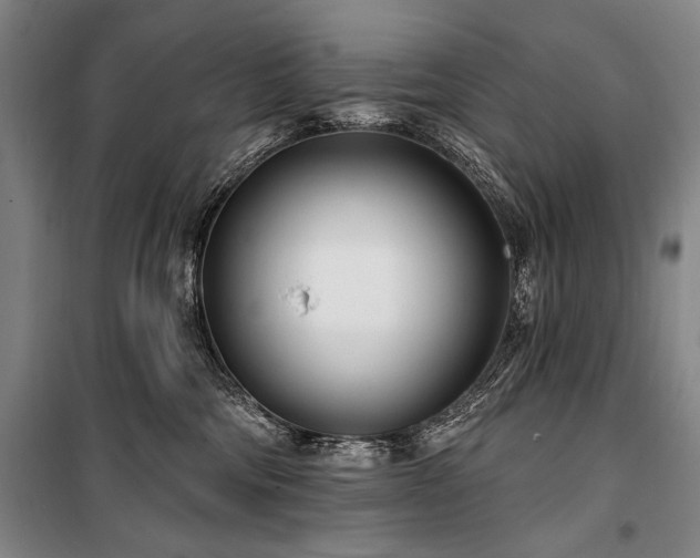 X0000101180330200806271257
