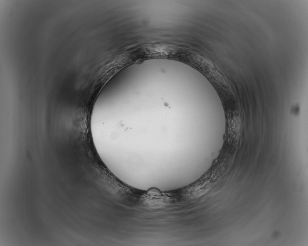 X0000101180331200806271257