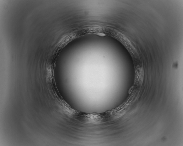 X0000101180333200806271257