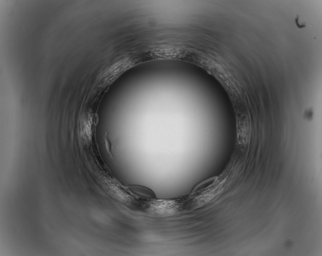 X0000101180334200806271257