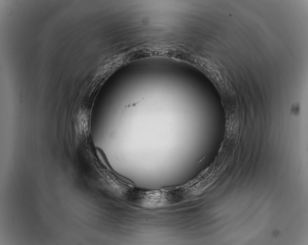 X0000101180335200806271257