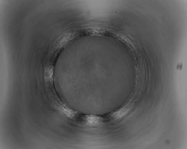 X0000101180336200806271257