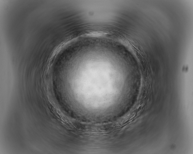 X0000101180337200806271257