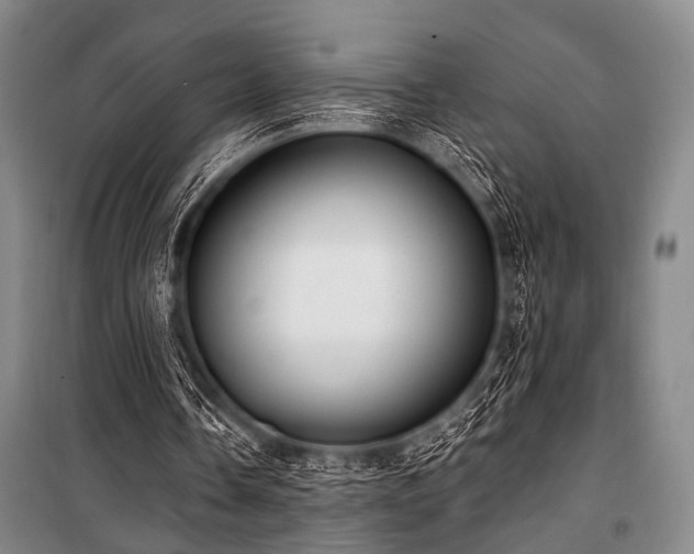 X0000101180338200806271257