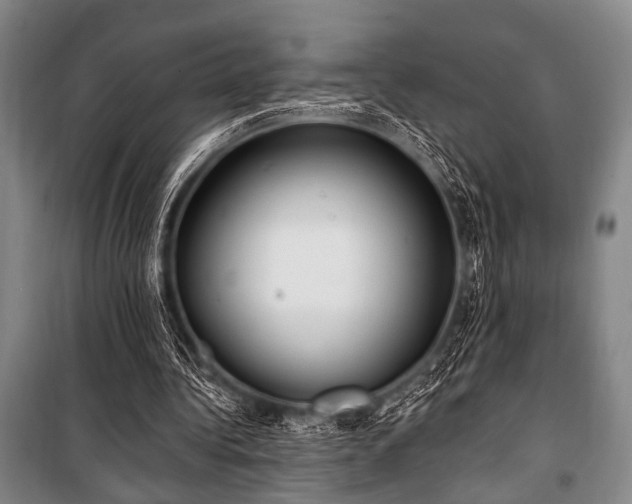 X0000101180340200806271257