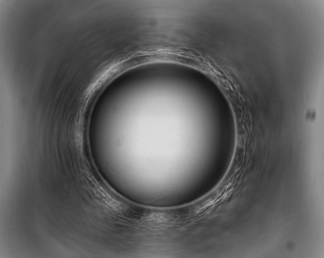 X0000101180341200806271257