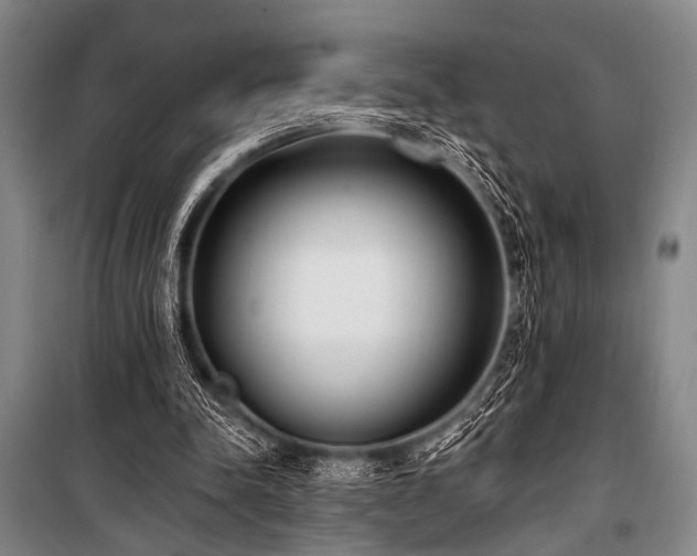 X0000101180342200806271257