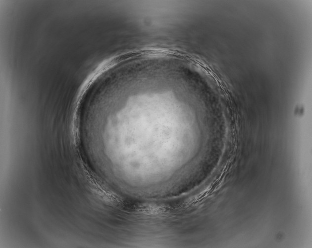 X0000101180343200806271257