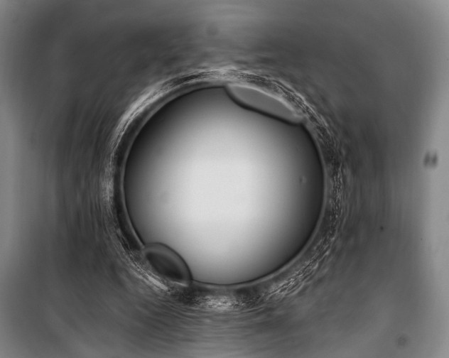 X0000101180344200806271257
