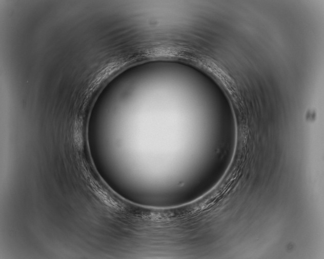 X0000101180345200806271257