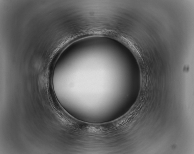 X0000101180346200806271257