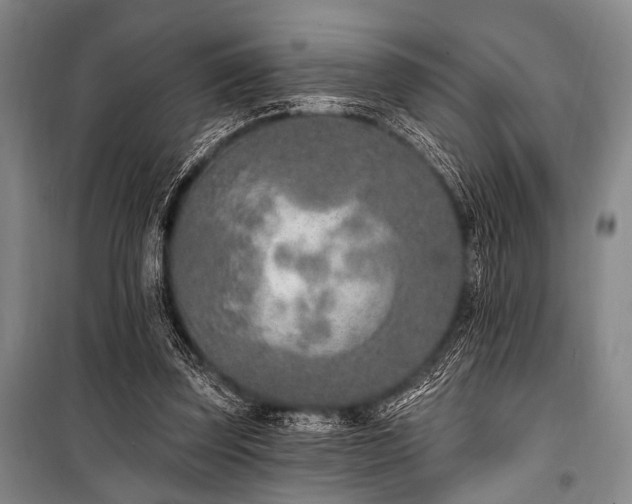 X0000101180347200806271257