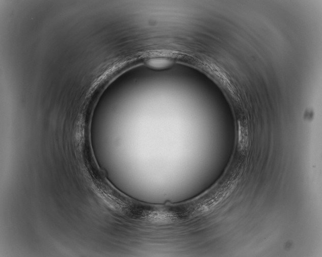 X0000101180348200806271257