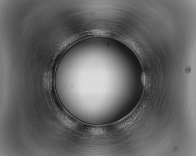 X0000101180349200806271257