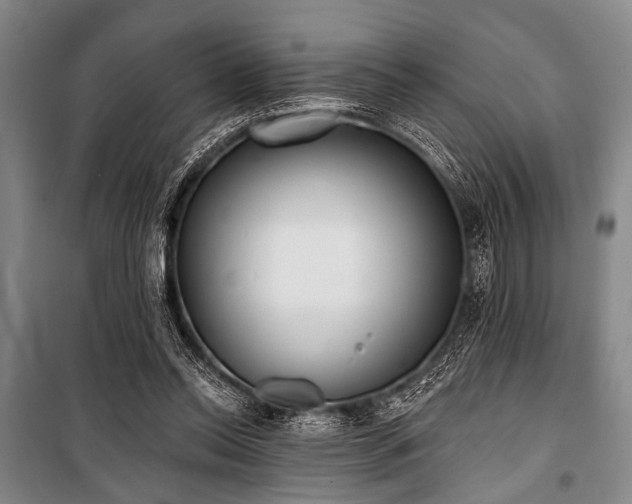 X0000101180350200806271257