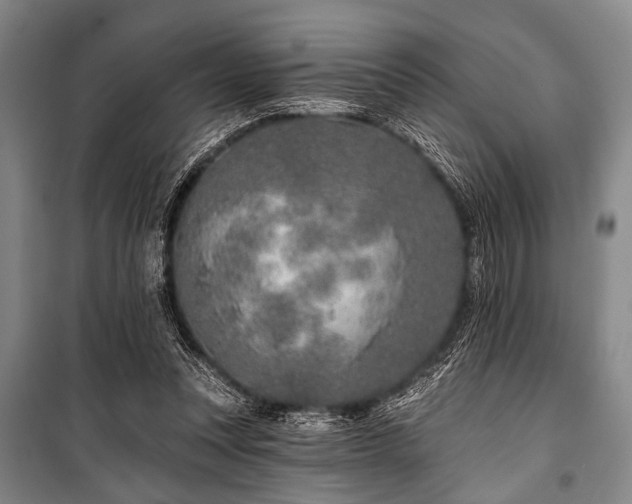 X0000101180351200806271257
