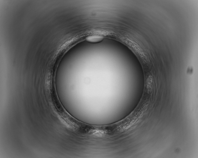 X0000101180352200806271257