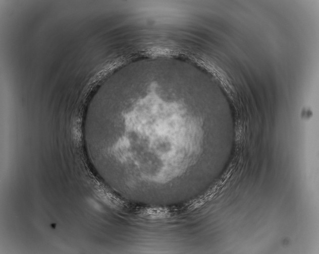 X0000101180353200806271257