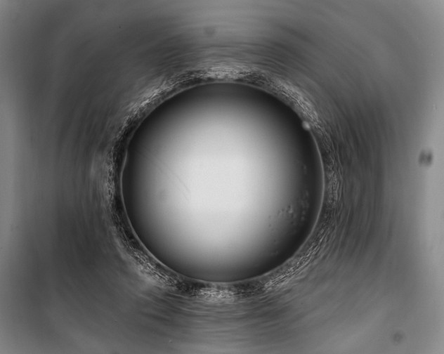 X0000101180354200806271257