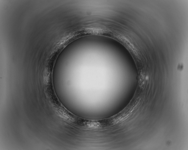 X0000101180355200806271257