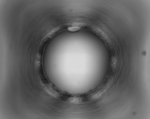 X0000101180356200806271257