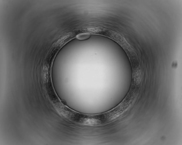 X0000101180360200806271257