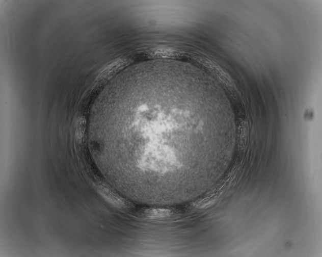 X0000101180361200806271257