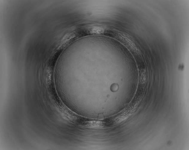 X0000101180363200806271257