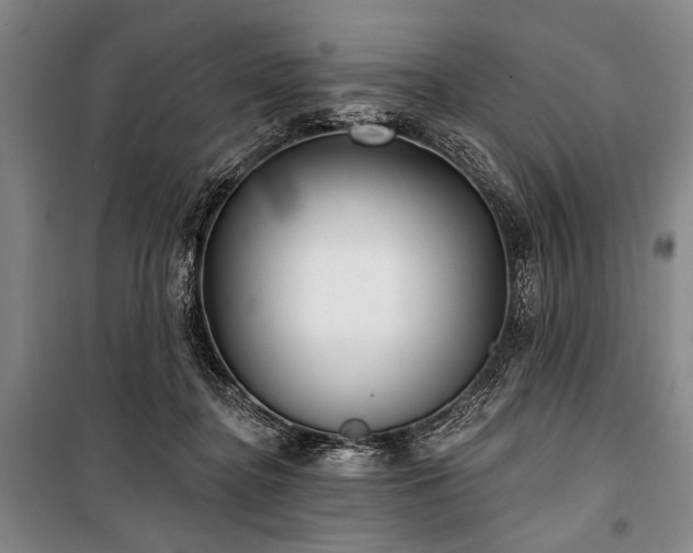 X0000101180364200806271257