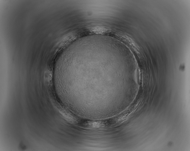 X0000101180365200806271257
