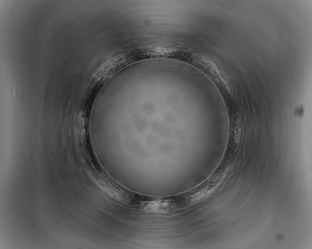 X0000101180366200806271257