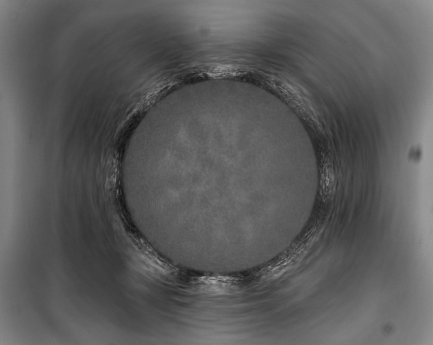 X0000101180367200806271257