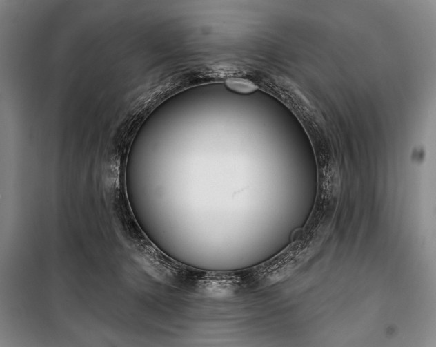 X0000101180368200806271257