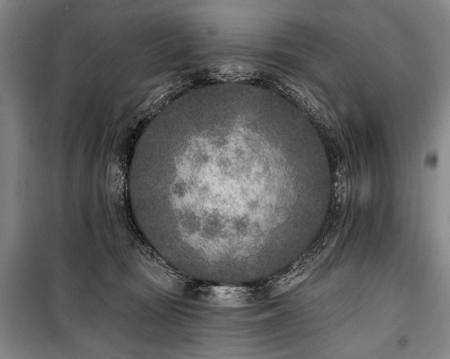 X0000101180371200806271257