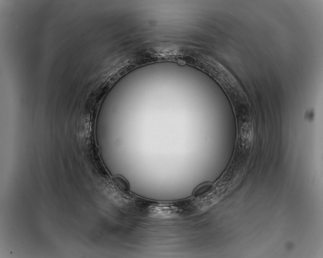 X0000101180372200806271257
