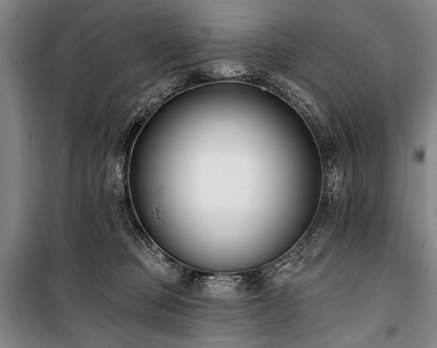 X0000101180373200806271257