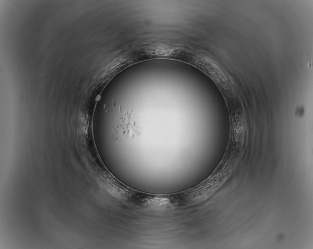 X0000101180374200806271257