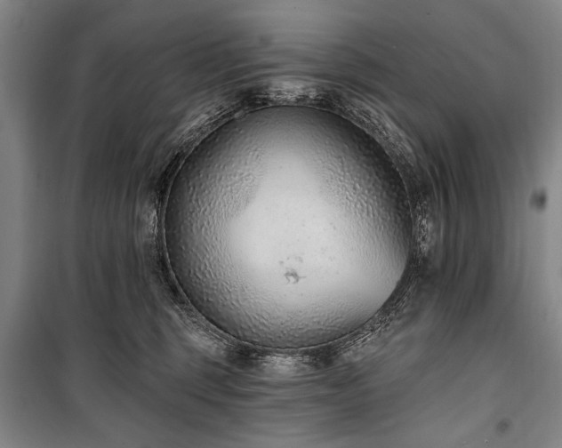 X0000101180375200806271257