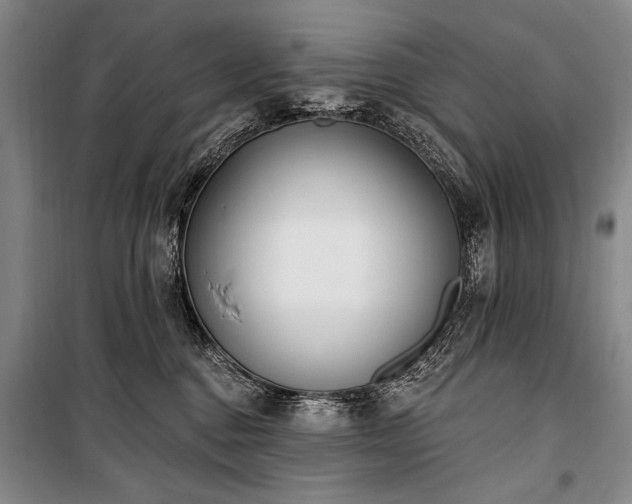 X0000101180376200806271257
