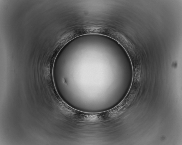 X0000101180377200806271257