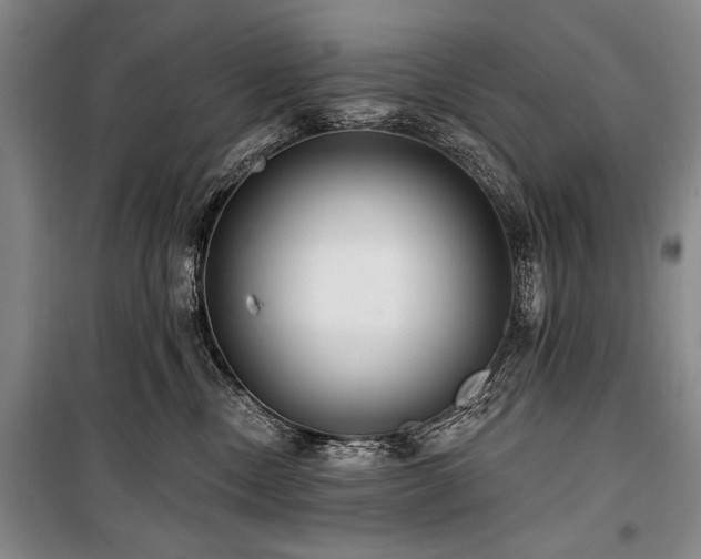 X0000101180378200806271257
