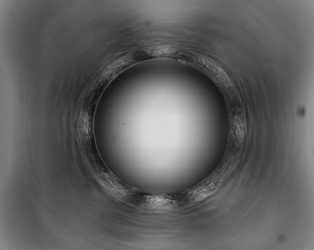X0000101180380200806271257