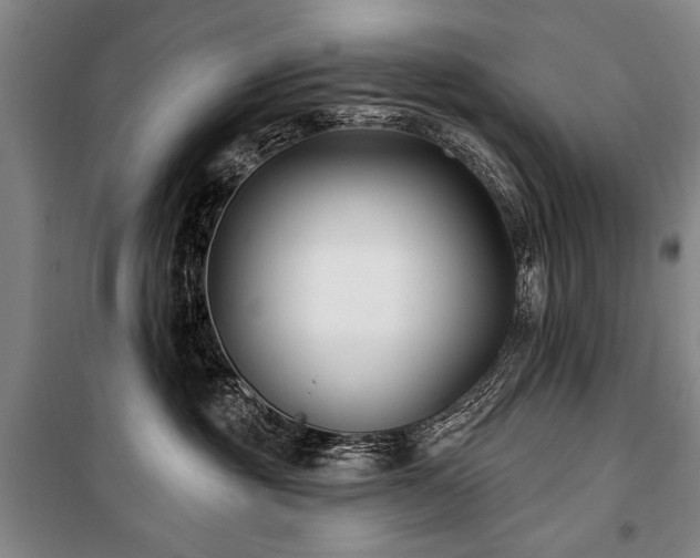 X0000101180381200806271257