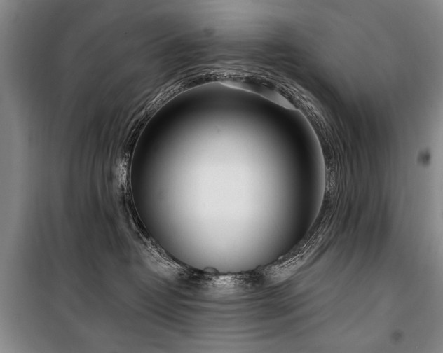 X0000101180382200806271257