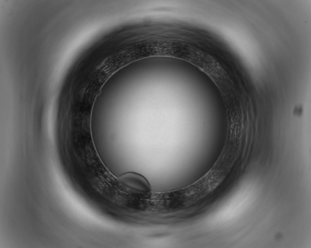 X0000101180383200806271257